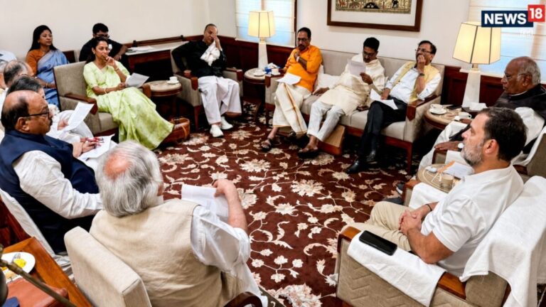 Monsoon Session | INDIA block | DMK को अपने पाले में बुलाने की तैयारी में विपक्ष, मॉनसून सत्र से पहले INDIA गठबंधन ने बनाया ये प्लान
