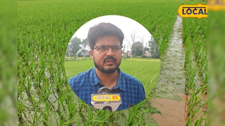 धान के खेत में खरपतवार बन सकते हैं सबसे बड़े दुश्मन! 80% तक घट सकती है पैदावार, जानिए बचाव उपाय