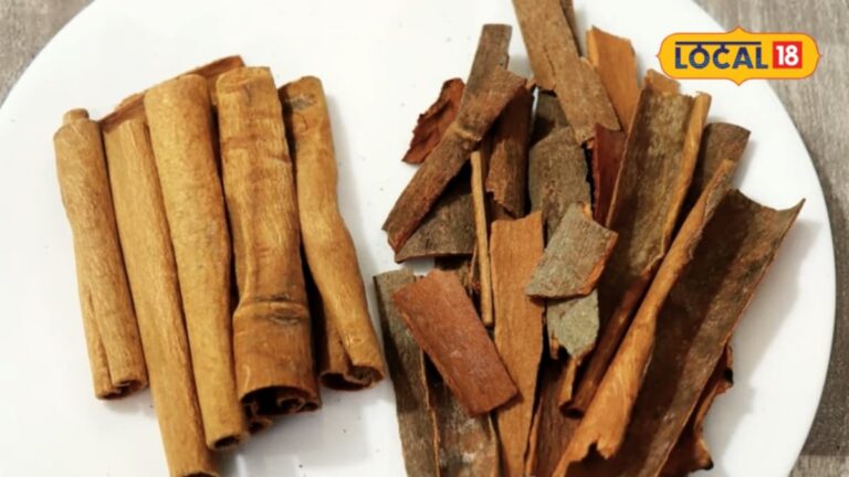 कहीं आप भी तो नहीं खा रहे नकली दालचीनी? मिनटों में ऐसे करें असली की पहचान, नहीं खाएंगे धोखा