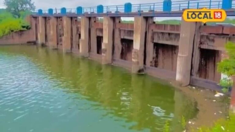 भरतपुर में भारी बारिश से बारेठा बांध लबालब, जलस्तर 26 फीट पहुंचा, गेट खुलने की आशंका पर 50 गांवों में अलर्ट