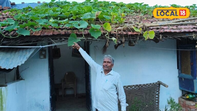 चित्रकूट के किसान कोठारी सिंह ने जैविक खेती के से घर में तैयार किया किचन गार्डन, उगाते हैं फ्रेश सब्जियां