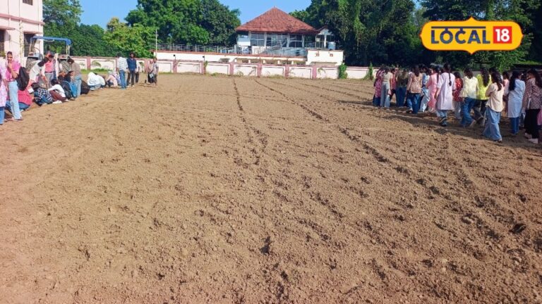 गोरखपुर यूनिवर्सिटी पूर्वांचल के किसानों के लिए पॉलीहाउस में तैयार होगा एग्जॉटिक सब्जियों के बीज, मिलेंगे अवसर
