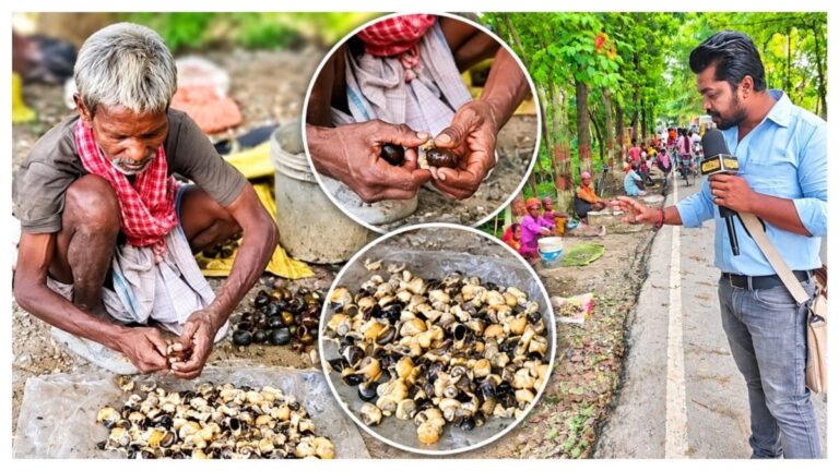 बिहार में सड़क किनारे बिकता है विदेशों का Exotic Food, ₹200 किलो कीमत, हर दिन 3 क्विंटल तक बिक्री
