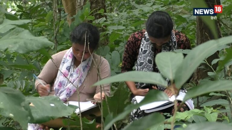 Odisha Sisters NEET Success Story: गांव में नहीं था इंटरनेट, पहाड़ी पर चढ़कर की पढ़ाई, गरीब बहनों ने बिना कोचिंग क्रैक की नीट