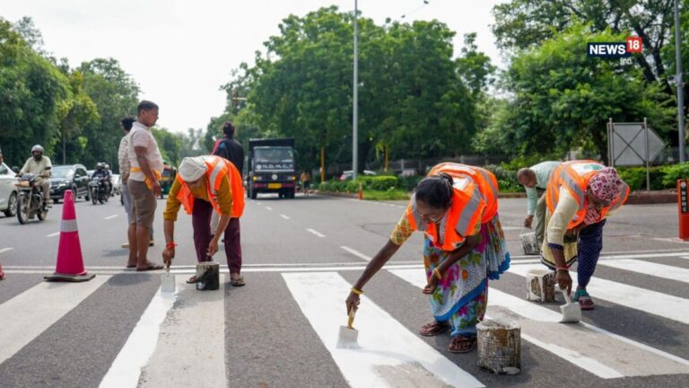 BRICS समिट से पहले चमक रही दिल्ली, रातभर चलेगी सफाई; मैदान में 300 कर्मचारी और 36 मशीनें