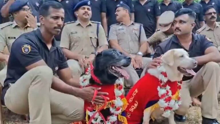 ‘वो डॉग्स नहीं, हमारे साथी थे!’, केरल पुलिस ने दो स्निफर डॉग्स बाडी और कामी को दी भावुक विदाई, नहीं देखा होगा ऐसा वीडियो