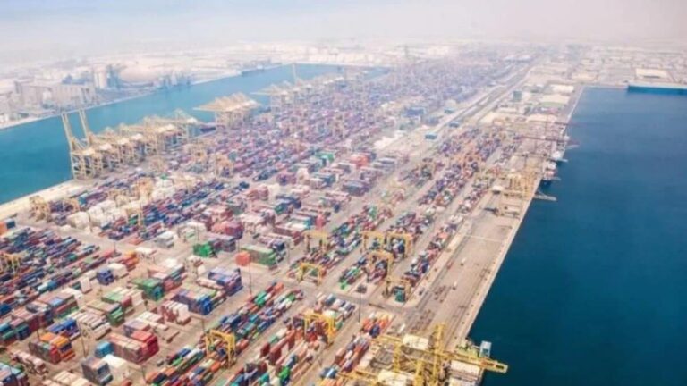 UAE Free Zone : भारत के छोटे शहर भी अमेरिका जैसे चमक उठेंगे अगर लागू हो जाए फ्री जोन मॉडल