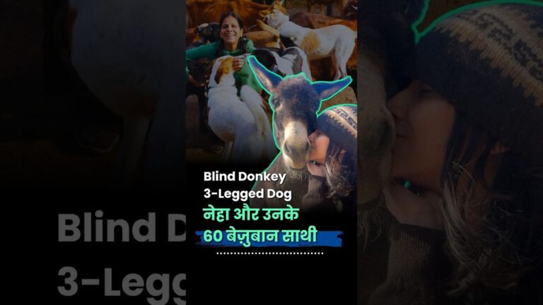 नेहा और उनके 60 बेज़ुबान साथी | Peepal Farm | Animal Rescue | Unique Friendship