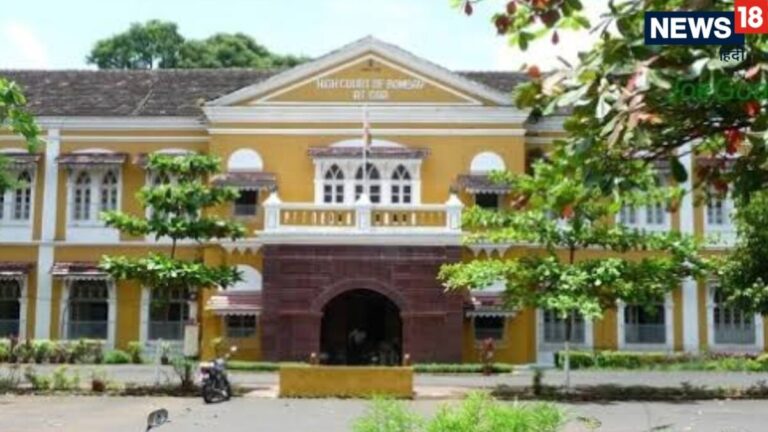 वोटर लिस्ट से नाम हट गया तो क्या होगा? SIR पर हाईकोर्ट ने चुनाव आयोग से पूछा बड़ा सवाल