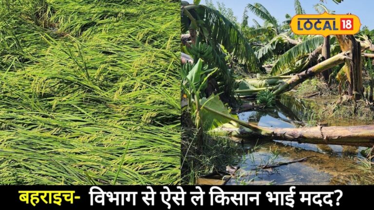 बहराइच में बेमौसम आंधी-बारिश से फसलों का भारी नुकसान, किसान गूगल फॉर्म से भी दर्ज करा सकेंगे नुकसान, मिलेगा मुआवजा