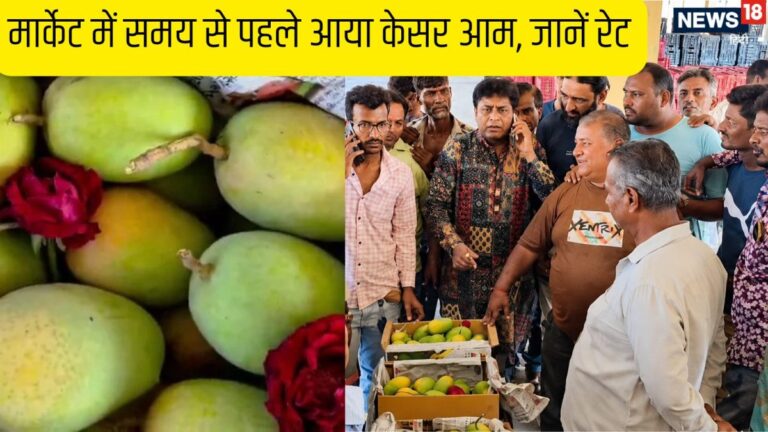 Kesar Mango Price: अद्भुत चमत्कार! बारिश की कमी, भीषण गर्मी और समय से पहले आ गया केसर आम, ₹14,500 में बिका एक बक्सा