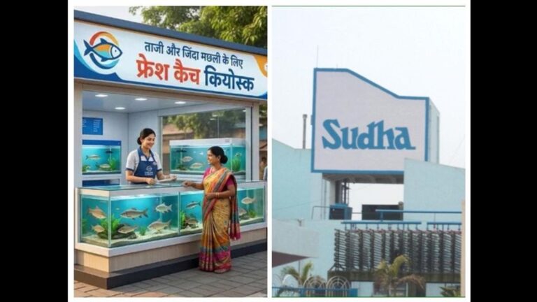 बिहार में खुलेंगे 100 फ्रेश कैच कियोस्क, सुधा की तर्ज पर बिकेंगी ताजी मछलियां; सरकार देगी 80% तक सहायता | बिहार में मछली खुदरा प्रणाली को आधुनिक बनाने के लिए फ्रेश कैच कियोस्क